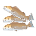 First Redfish Decal Sticker