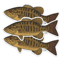 Smallmouth Bass Decal Sticker