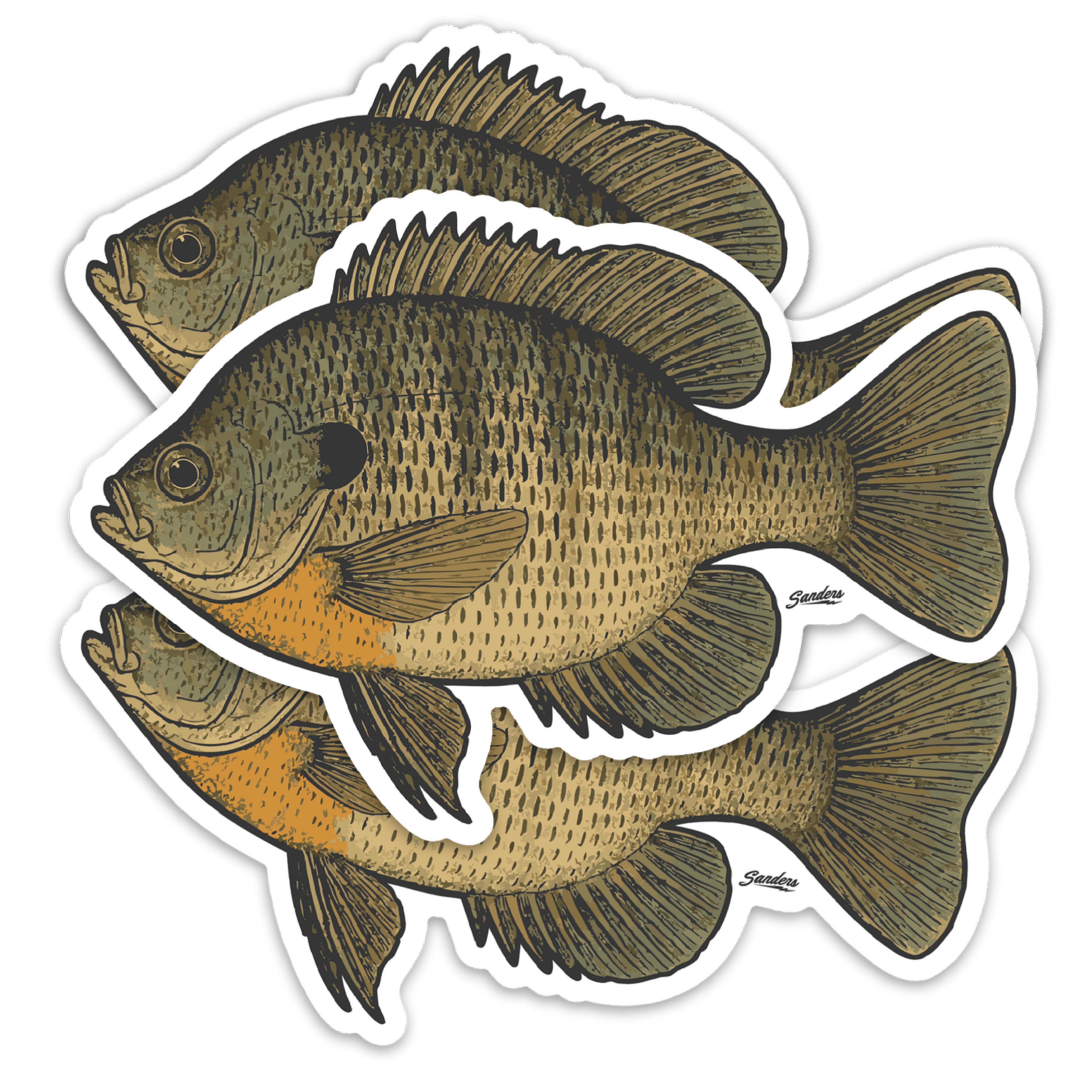 Bluegill Decal Sticker