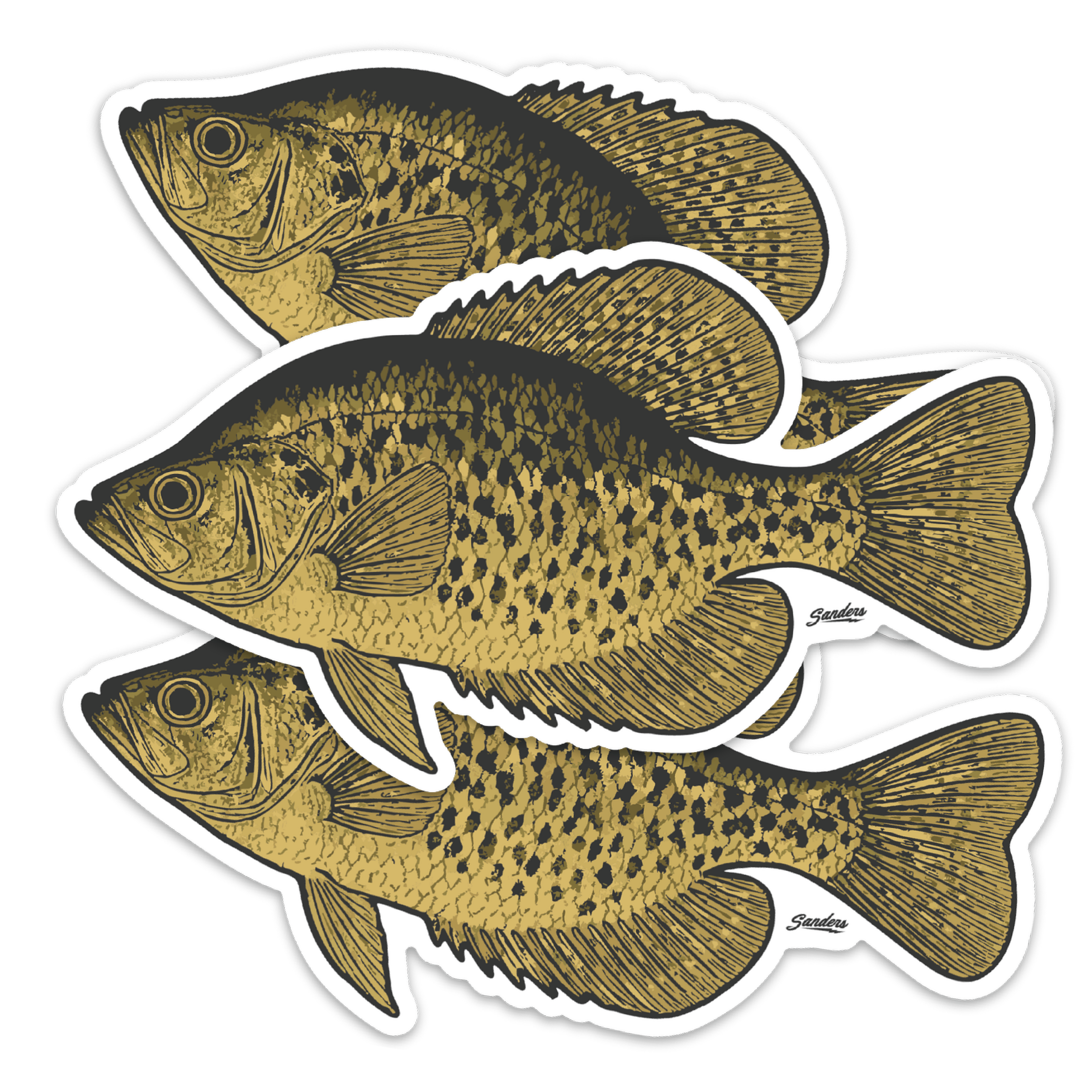 Crappie Decal Sticker