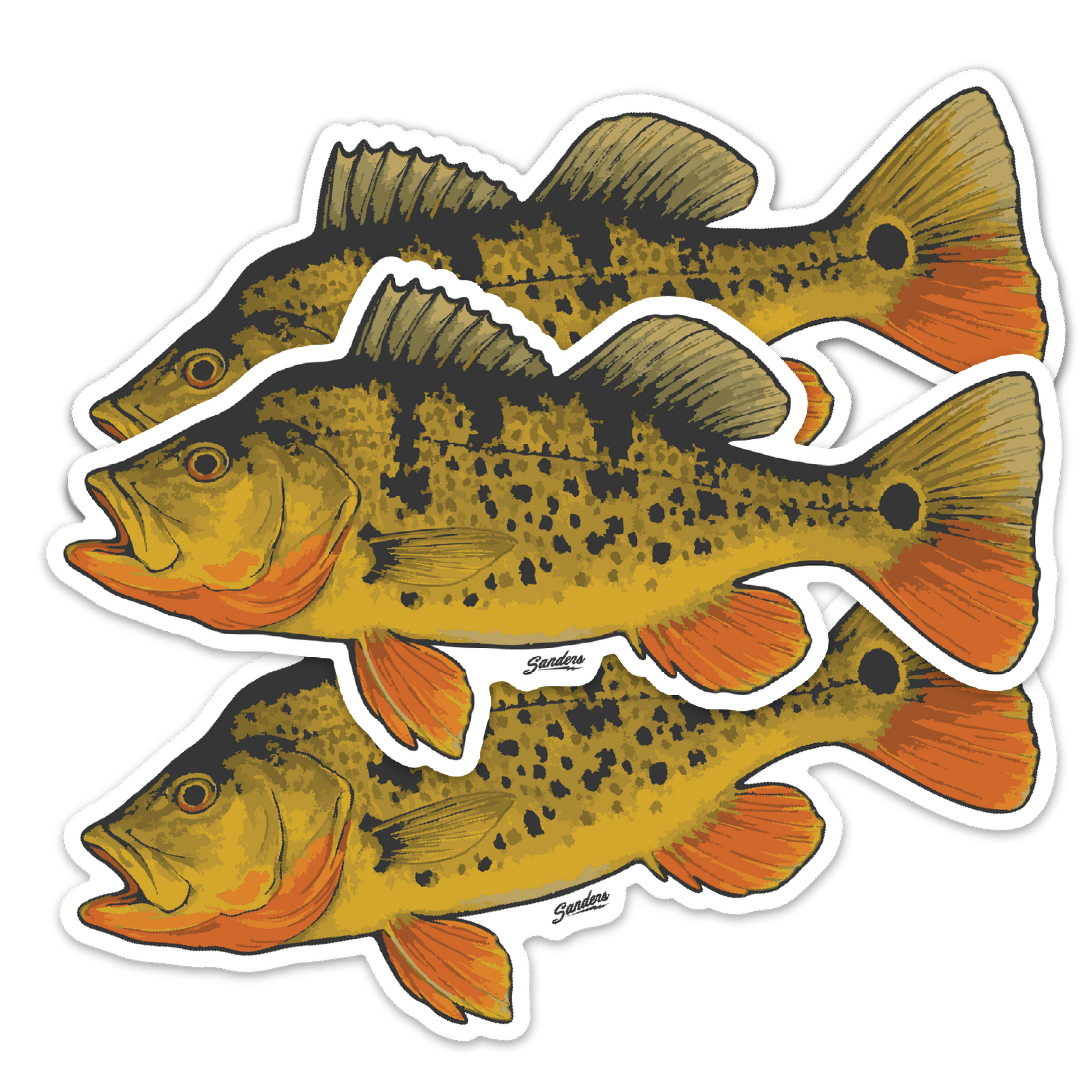 Peacock Bass Decal Sticker