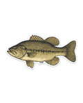 Largemouth Bass Decal Sticker