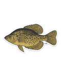 Crappie Decal Sticker